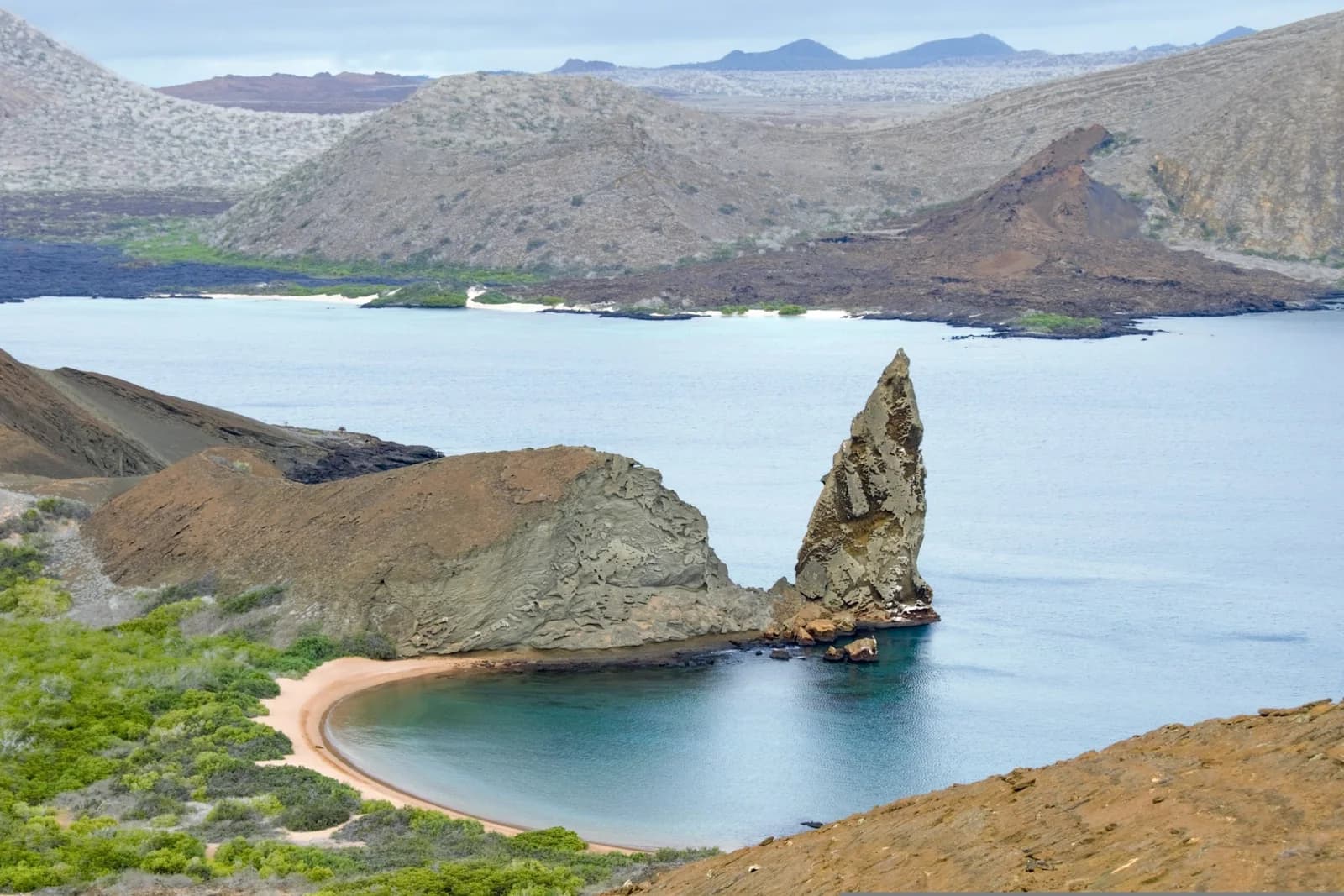 Qué hacer en Puerto Ayora, Galápagos: guía para descubrir Santa Cruz Island